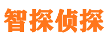 东营市侦探公司